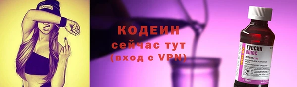 дмт Кодинск