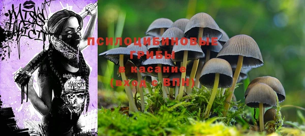 прущая мука Козловка