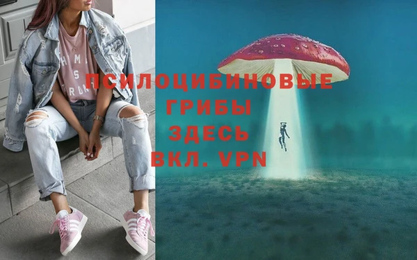 дмт Кодинск
