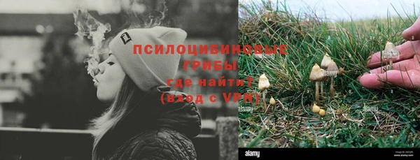 прущая мука Козловка